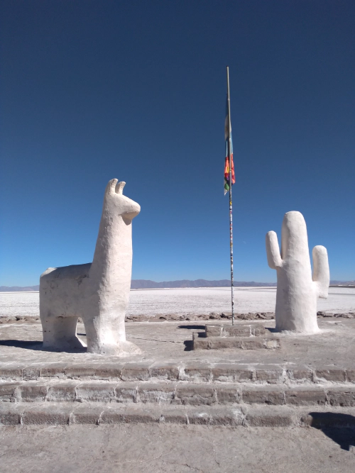 Salinas Grandes Lama