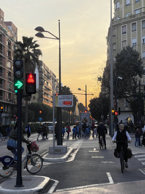A typical valencian bike lane. Seperated from the street.
